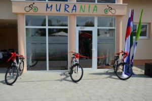 Sprehod po prostorih Muranie