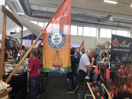 306558153_636329707907066_3760147462463674498_n