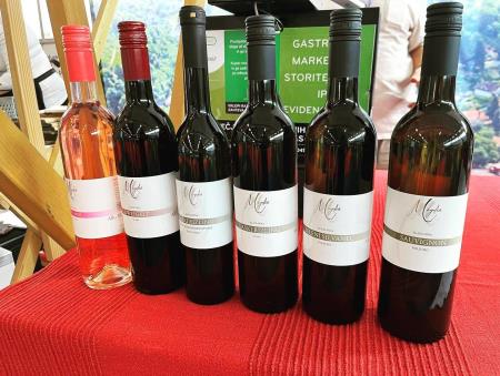 306837027_486010283535402_123685692464796772_n