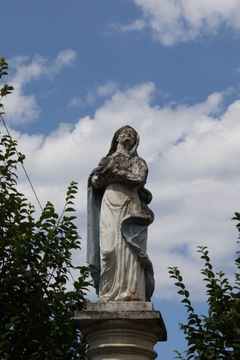 IMG_4435
